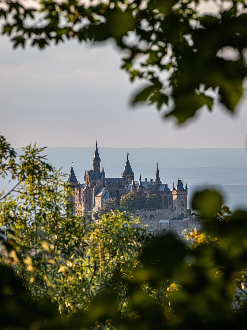 Medieval castle